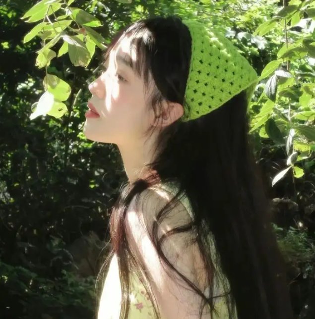 极地一年
